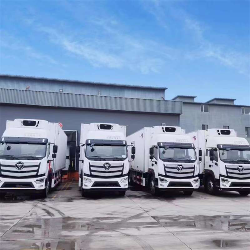 亚东县新龙县进仓物流：多元专线直达运输探秘